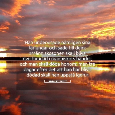Picture 05 - Markus 9:31 SV1917 - Han undervisade nämligen sina lärjungar och - Bible Verse Picture