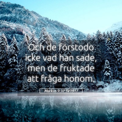Picture 05 - Markus 9:32 SV1917 - Och de förstodo icke vad han sade, men de - Bible Verse Picture