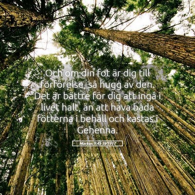 Picture 05 - Markus 9:45 SV1917 - Och om din fot är dig till förförelse, så - Bible Verse Picture