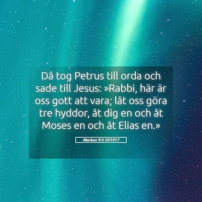 Picture 05 - Markus 9:5 SV1917 - Då tog Petrus till orda och sade till Jesus: - Bible Verse Picture