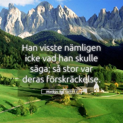 Picture 05 - Markus 9:6 SV1917 - Han visste nämligen icke vad han skulle säga; - Bible Verse Picture