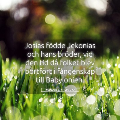 Picture 05 - Matteus 1:11 SV1917 - Josias födde Jekonias och hans bröder, vid den - Bible Verse Picture