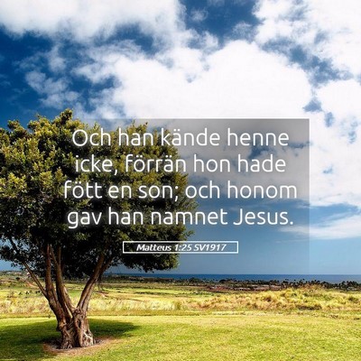 Picture 05 - Matteus 1:25 SV1917 - Och han kände henne icke, förrän hon hade - Bible Verse Picture