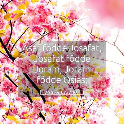 Picture 05 - Matteus 1:8 SV1917 - Asaf födde Josafat, Josafat födde Joram, Joram - Bible Verse Picture