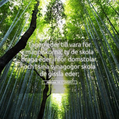 Picture 05 - Matteus 10:17 SV1917 - Tagen eder till vara för människorna; ty de - Bible Verse Picture
