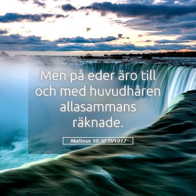 Picture 05 - Matteus 10:30 SV1917 - Men på eder äro till och med huvudhåren - Bible Verse Picture