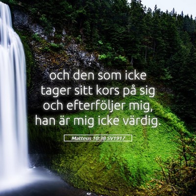 Picture 05 - Matteus 10:38 SV1917 - och den som icke tager sitt kors på sig och - Bible Verse Picture