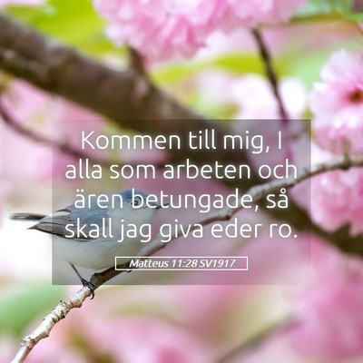 Picture 05 - Matteus 11:28 SV1917 - Kommen till mig, I alla som arbeten och ären - Bible Verse Picture