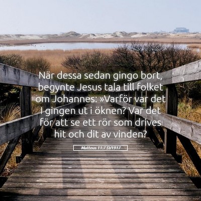 Picture 05 - Matteus 11:7 SV1917 - När dessa sedan gingo bort, begynte Jesus tala - Bible Verse Picture