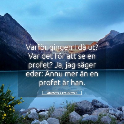 Picture 05 - Matteus 11:9 SV1917 - Varför gingen I då ut? Var det för att se en - Bible Verse Picture