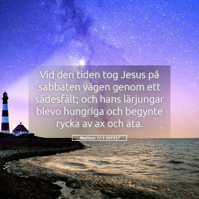 Picture 05 - Matteus 12:1 SV1917 - Vid den tiden tog Jesus på sabbaten vägen genom - Bible Verse Picture
