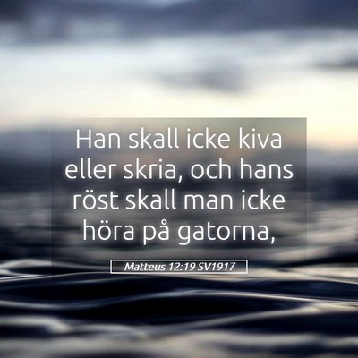 Picture 05 - Matteus 12:19 SV1917 - Han skall icke kiva eller skria, och hans röst - Bible Verse Picture