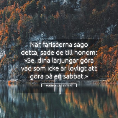 Picture 05 - Matteus 12:2 SV1917 - När fariséerna sågo detta, sade de till honom: - Bible Verse Picture
