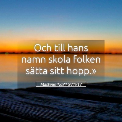 Picture 05 - Matteus 12:21 SV1917 - Och till hans namn skola folken sätta sitt - Bible Verse Picture