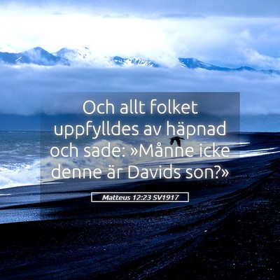 Picture 05 - Matteus 12:23 SV1917 - Och allt folket uppfylldes av häpnad och sade: - Bible Verse Picture
