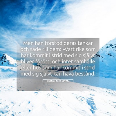 Picture 05 - Matteus 12:25 SV1917 - Men han förstod deras tankar och sade till dem: - Bible Verse Picture