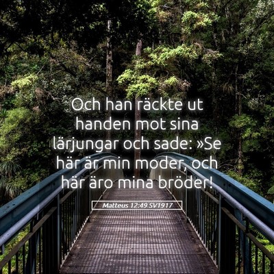Picture 05 - Matteus 12:49 SV1917 - Och han räckte ut handen mot sina lärjungar och - Bible Verse Picture