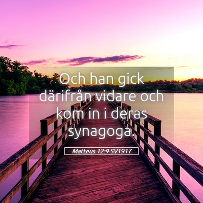 Picture 05 - Matteus 12:9 SV1917 - Och han gick därifrån vidare och kom in i deras - Bible Verse Picture