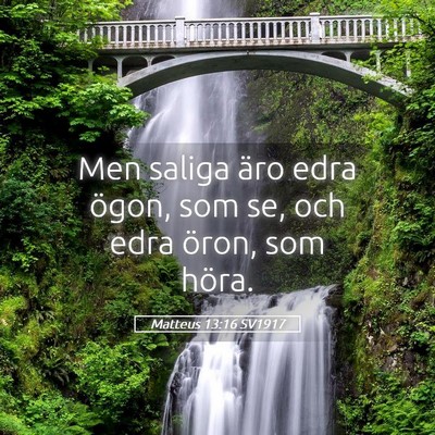 Picture 05 - Matteus 13:16 SV1917 - Men saliga äro edra ögon, som se, och edra - Bible Verse Picture