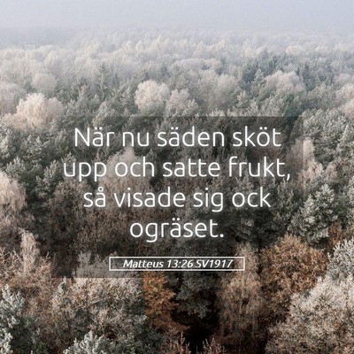 Picture 05 - Matteus 13:26 SV1917 - När nu säden sköt upp och satte frukt, så - Bible Verse Picture