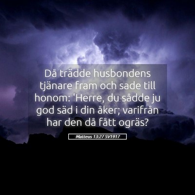 Picture 05 - Matteus 13:27 SV1917 - Då trädde husbondens tjänare fram och sade - Bible Verse Picture