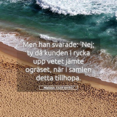Picture 05 - Matteus 13:29 SV1917 - Men han svarade: 'Nej; ty då kunden I rycka upp - Bible Verse Picture