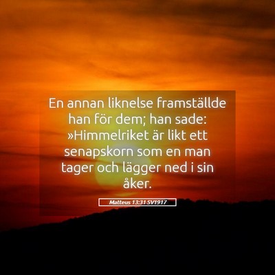 Picture 05 - Matteus 13:31 SV1917 - En annan liknelse framställde han för dem; han - Bible Verse Picture