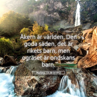 Picture 05 - Matteus 13:38 SV1917 - Åkern är världen. Den goda säden, det är - Bible Verse Picture