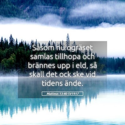 Picture 05 - Matteus 13:40 SV1917 - Såsom nu ogräset samlas tillhopa och brännes - Bible Verse Picture