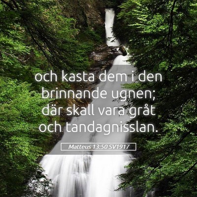 Picture 05 - Matteus 13:50 SV1917 - och kasta dem i den brinnande ugnen; där skall - Bible Verse Picture
