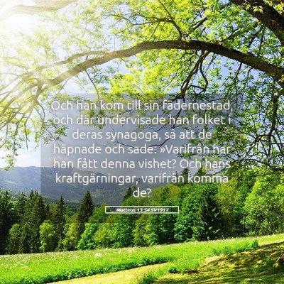 Picture 05 - Matteus 13:54 SV1917 - Och han kom till sin fädernestad, och där - Bible Verse Picture