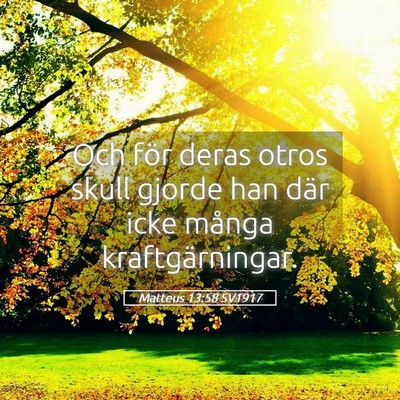 Picture 05 - Matteus 13:58 SV1917 - Och för deras otros skull gjorde han där icke - Bible Verse Picture
