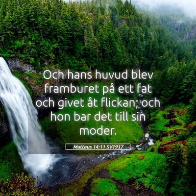 Picture 05 - Matteus 14:11 SV1917 - Och hans huvud blev framburet på ett fat och - Bible Verse Picture