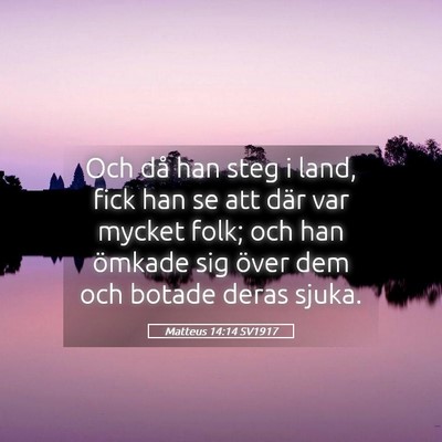 Picture 05 - Matteus 14:14 SV1917 - Och då han steg i land, fick han se att där var - Bible Verse Picture