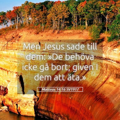 Picture 05 - Matteus 14:16 SV1917 - Men Jesus sade till dem: »De behöva icke gå - Bible Verse Picture