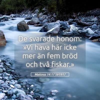 Picture 05 - Matteus 14:17 SV1917 - De svarade honom: »Vi hava här icke mer än fem - Bible Verse Picture