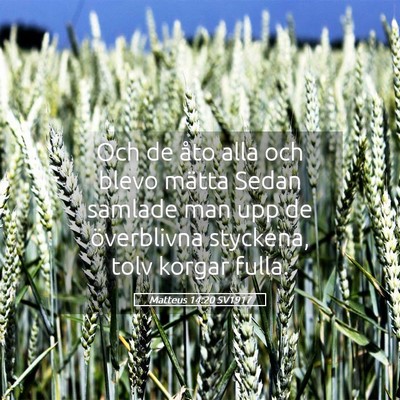 Picture 05 - Matteus 14:20 SV1917 - Och de åto alla och blevo mätta Sedan samlade - Bible Verse Picture