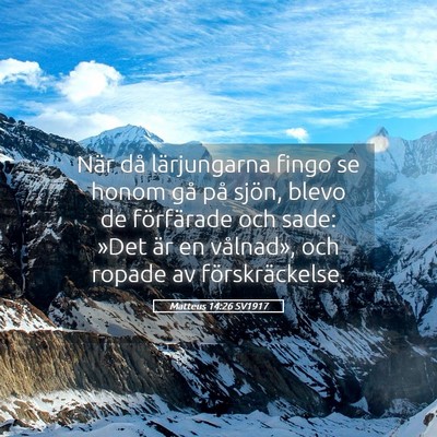 Picture 05 - Matteus 14:26 SV1917 - När då lärjungarna fingo se honom gå på - Bible Verse Picture