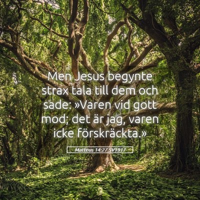 Picture 05 - Matteus 14:27 SV1917 - Men Jesus begynte strax tala till dem och sade: - Bible Verse Picture