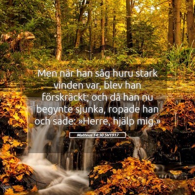 Picture 05 - Matteus 14:30 SV1917 - Men när han såg huru stark vinden var, blev han - Bible Verse Picture