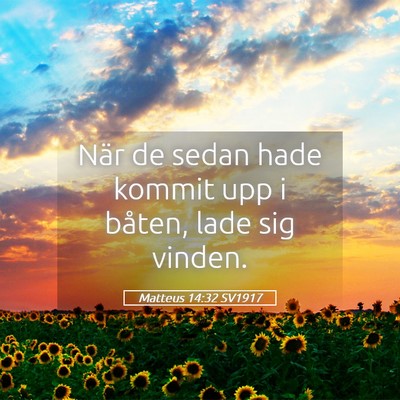 Picture 05 - Matteus 14:32 SV1917 - När de sedan hade kommit upp i båten, lade sig - Bible Verse Picture