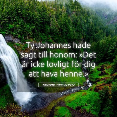 Picture 05 - Matteus 14:4 SV1917 - Ty Johannes hade sagt till honom: »Det är icke - Bible Verse Picture