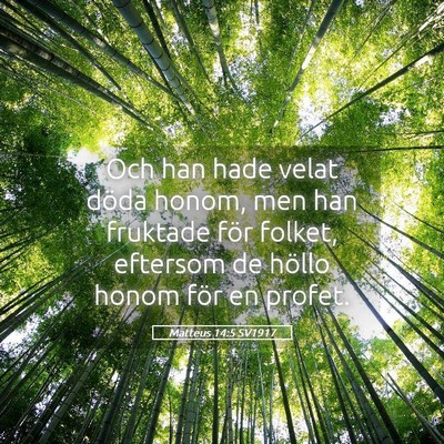 Picture 05 - Matteus 14:5 SV1917 - Och han hade velat döda honom, men han fruktade - Bible Verse Picture