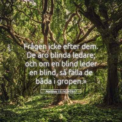 Picture 05 - Matteus 15:14 SV1917 - Frågen icke efter dem. De äro blinda ledare; - Bible Verse Picture