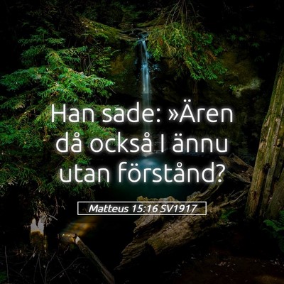 Picture 05 - Matteus 15:16 SV1917 - Han sade: »Ären då också I ännu utan - Bible Verse Picture