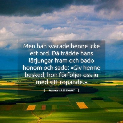 Picture 05 - Matteus 15:23 SV1917 - Men han svarade henne icke ett ord. Då trädde - Bible Verse Picture
