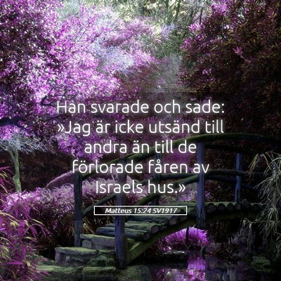Picture 05 - Matteus 15:24 SV1917 - Han svarade och sade: »Jag är icke utsänd till - Bible Verse Picture