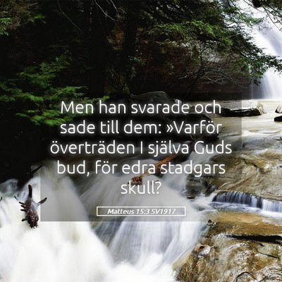 Picture 05 - Matteus 15:3 SV1917 - Men han svarade och sade till dem: »Varför - Bible Verse Picture