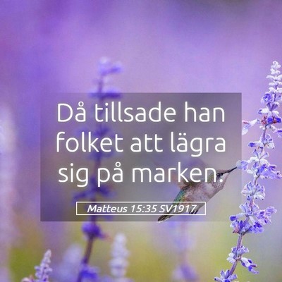Picture 05 - Matteus 15:35 SV1917 - Då tillsade han folket att lägra sig på - Bible Verse Picture