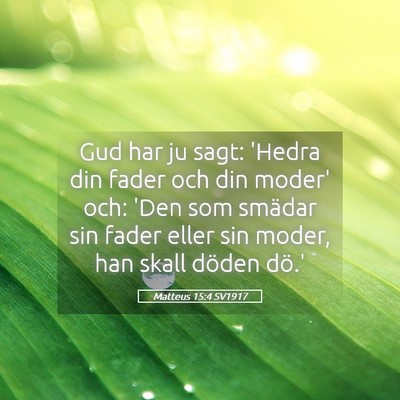 Picture 05 - Matteus 15:4 SV1917 - Gud har ju sagt: 'Hedra din fader och din moder' - Bible Verse Picture